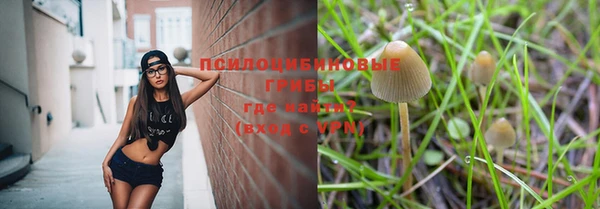 Альфа ПВП Баксан